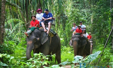 Návštěva džungle a jízda na slonech - Koh Samui