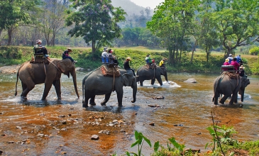 Jízda na slonech - Phuket