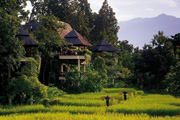 chiangmai.jpg
