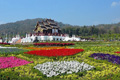 royalflora.jpg royalflora.jpg