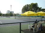 tennis.jpg