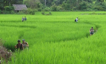 Trekking Mae Tang, 2dny a 1 noc - Chiang Mai