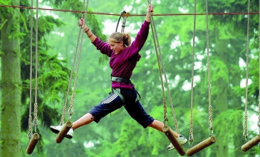 Tree Tops - Koh Chang