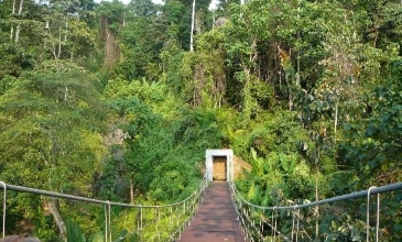 Jungle Trek - Koh Chang
