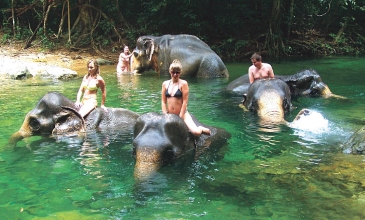 Jízda na slonech - Koh Chang