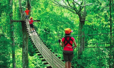 Flight of the Gibbon - Pattaya