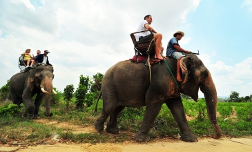 Trekking a jízda na slonu