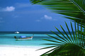 Koh Lipe, Thajsko kolipe.jpg