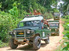 samui_safari2.jpg